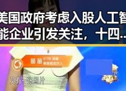 美国政府考虑入股人工智能企业引发关注，十四届全国政协原常委齐扎拉被判无期