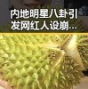 内地明星八卦引发网红人设崩塌，李某绮离奇死亡事件与高考考前准备成焦点