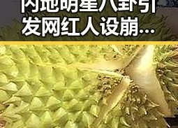 内地明星八卦引发网红人设崩塌，李某绮离奇死亡事件与高考考前准备成焦点
