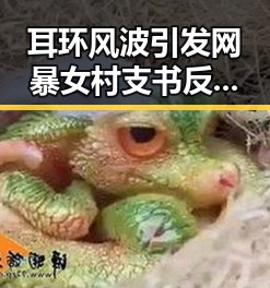 耳环风波引发网暴女村支书反差发声,专家辟谣人造大米危机