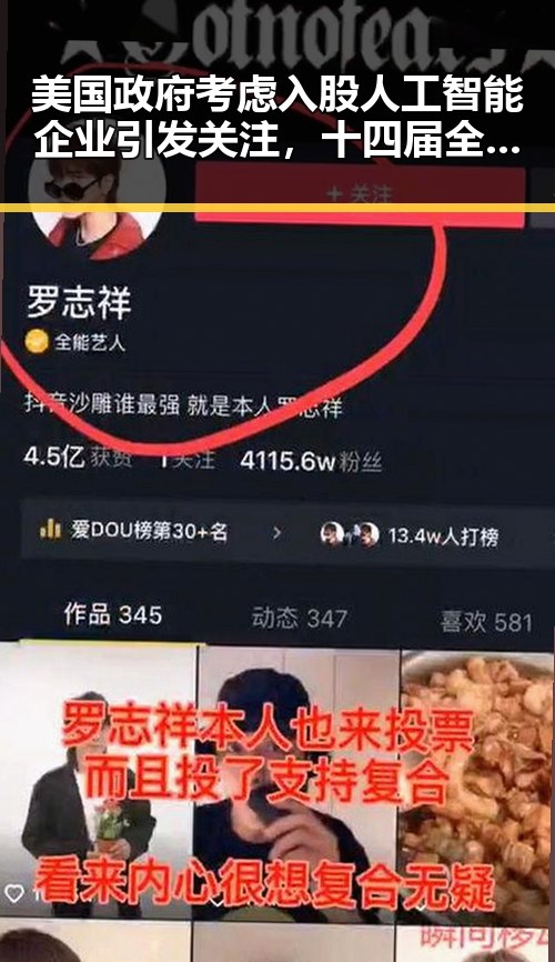 美国政府考虑入股人工智能企业引发关注,十四届全国政协原常委齐扎拉被判无期