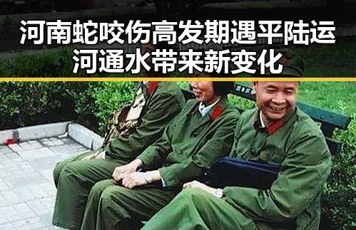 河南蛇咬伤高发期遇平陆运河通水带来新变化
